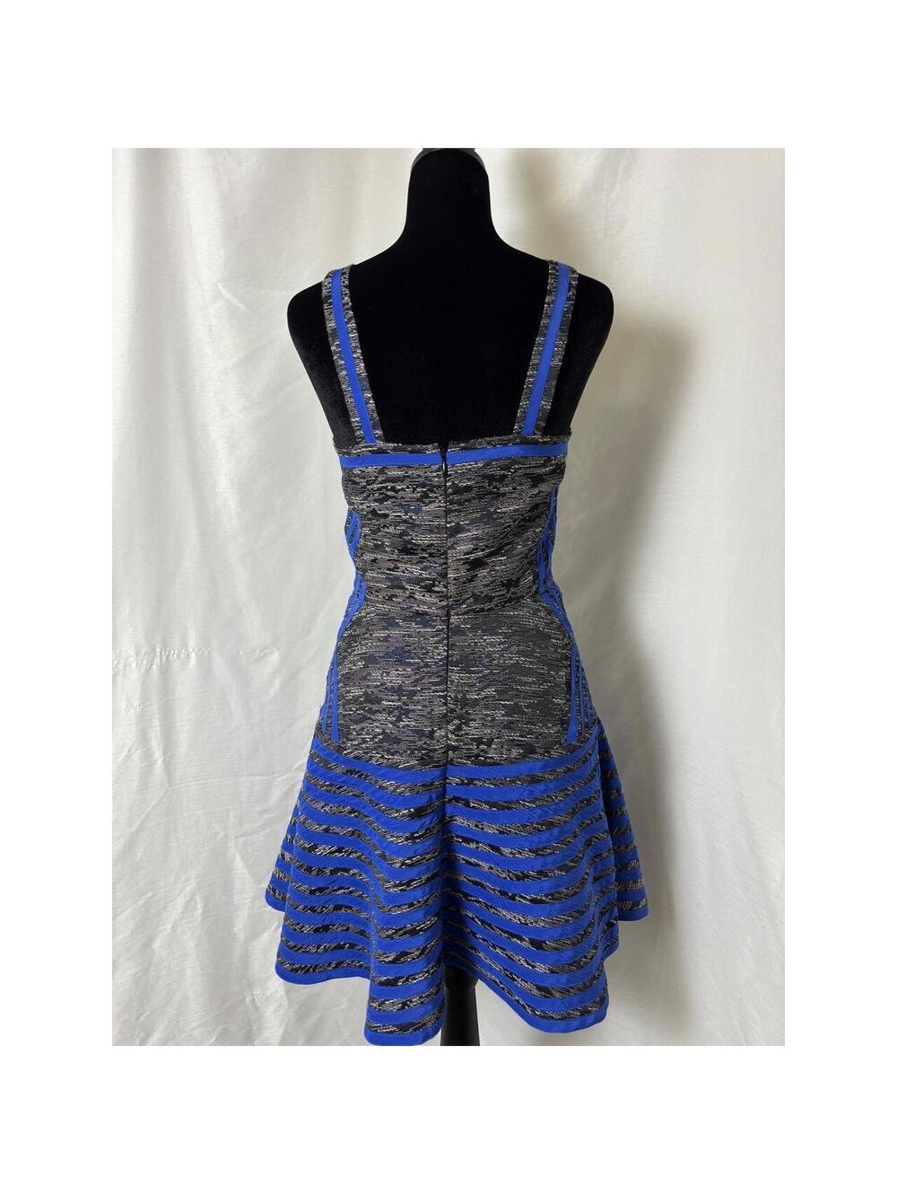 Parker Blue Metallic Silver Geometric Striped Fit Flare Mini Dress XS Sleeveless - Picture 4 of 5